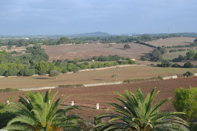 Son Triay Farm stay Ferreries